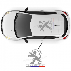 Stickers de toit Peugeot Sport D 2016