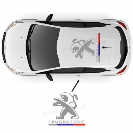 Stickers de toit Peugeot Sport D 2016 - Pro-RS