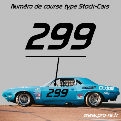 Numéro de course 3 Chiffres type Stock-Cars