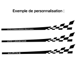 Kit 2 Stickers Latéraux M3RS Performance Renault