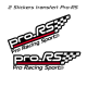 Kit 2 Stickers Pro-RS 30cm