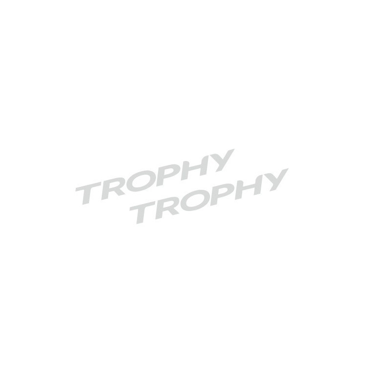 Commande Client D070426 stickers trophy gris clair