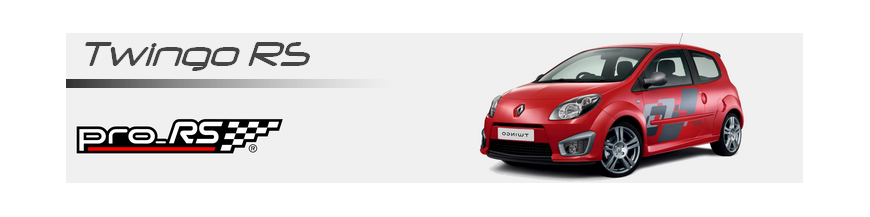 Renault Twingo RS